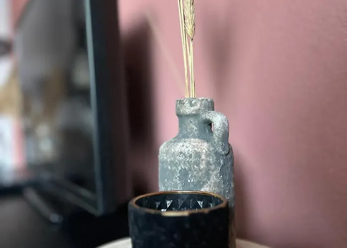 De Korenbloem 아파트 바르네벨트